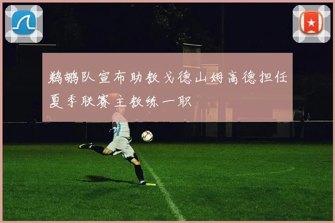 鹈鹕队宣布助教戈德山姆高德担任夏季联赛主教练一职
