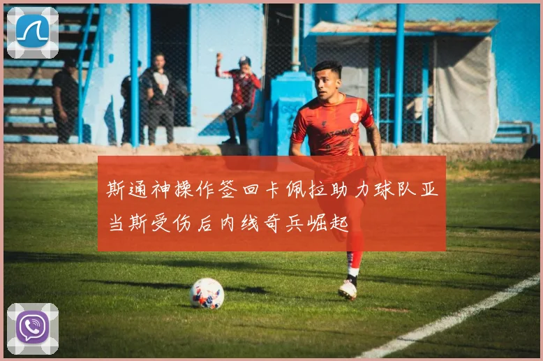 斯通神操作签回卡佩拉助力球队亚当斯受伤后内线奇兵崛起