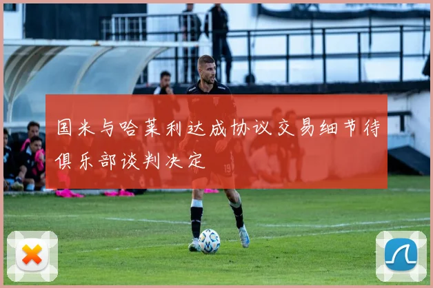 国米与哈莱利达成协议交易细节待俱乐部谈判决定