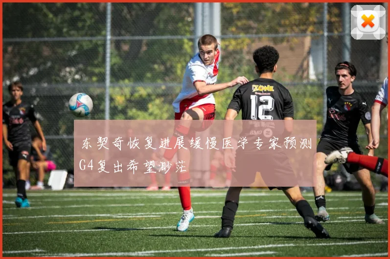 东契奇恢复进展缓慢医学专家预测G4复出希望渺茫
